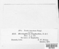Image Associated With the Occurence
